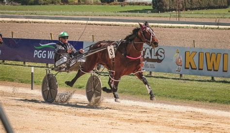 hrnz|harness racing covert 19 nz 2022.